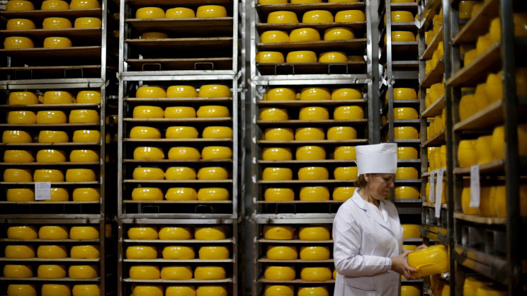 Россельхознадзор запретил ввоз в РФ небезопасных сыров из Беларуси