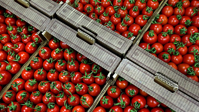 Россельхознадор не пустил в Россию почти 200 тонн турецких фруктов