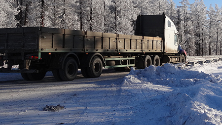 Спасатели из Пскова вызволили из «ледяного плена» белорусского дальнобойщика