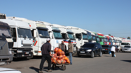 Около 1000 казахстанских компаний будут импортировать товары из Украины через РФ
