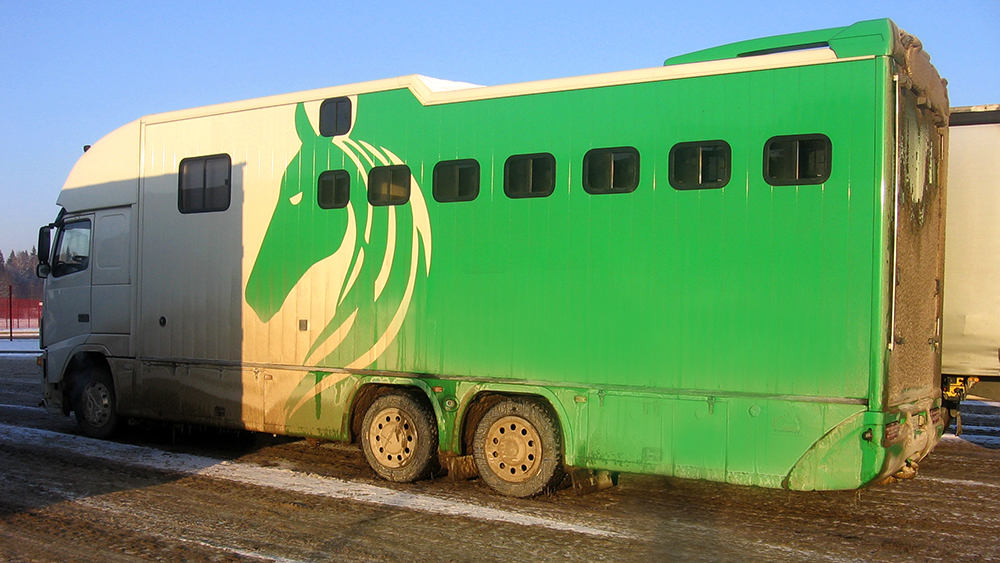 Таможня Беларуси конфисковала переделанную фуру для лошадей