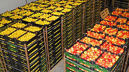 Брестские таможенники изъяли более 60 тонн польских фруктов