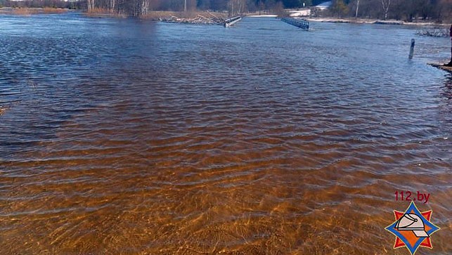 Река Проня подтопила мост в Чаусском районе