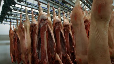Минсельхозпрод Беларуси не подтверждает введение ограничений поставок мяса в Россию