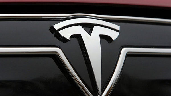 Tesla работает над электробусом и электрическим грузовиком