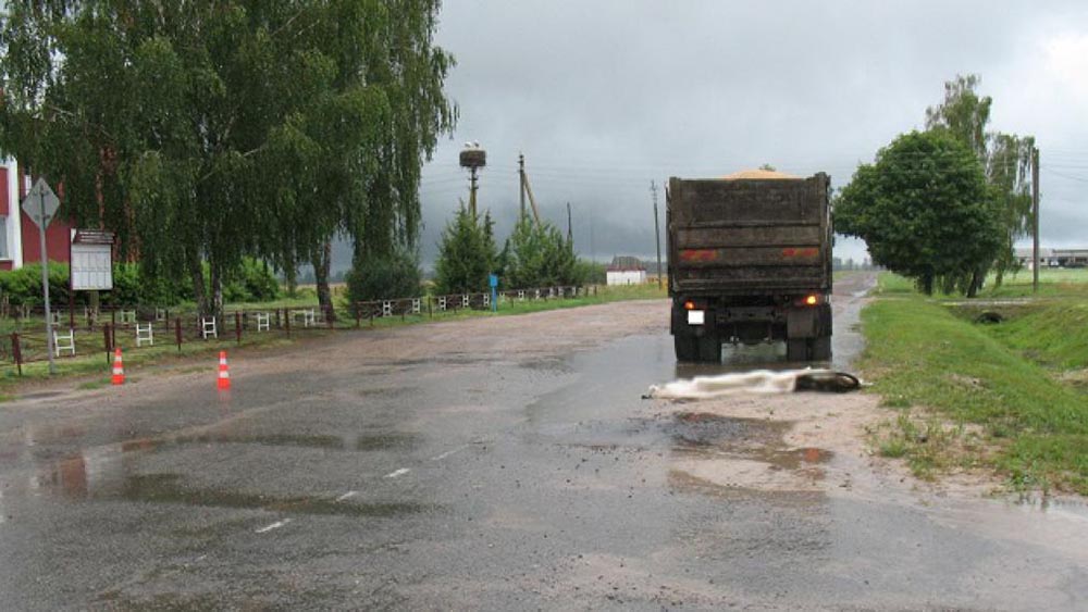 В Дрогичинском районе МАЗом насмерть сбило 5-летнего мальчика