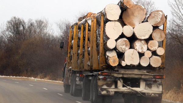 Литва будет проверять белорусскую древесину на радиацию