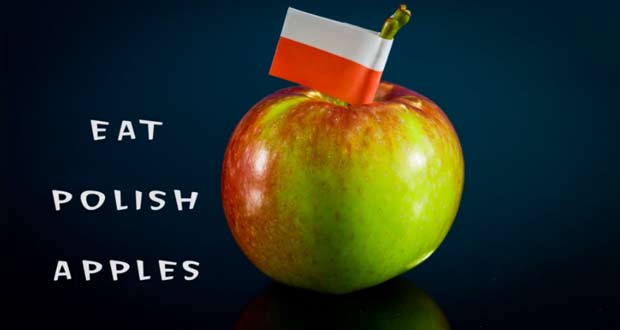 Польские яблоки: рекордные урожаи без рынков сбыта