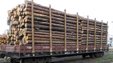 Участились случаи нарушения таможенного законодательства при перевозках лесо- и пиломатериалов через границу ЕАЭС