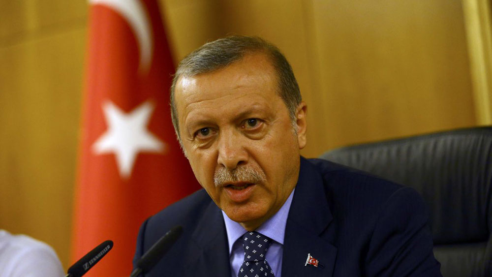 Эрдоган пообещал «дать указания», чтобы турецкие корабли не входили в порты Крыма