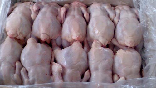Из-за птичьего гриппа Беларусь ограничила поставки птицы из Польши и Сербии
