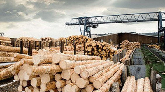 Беларусь вводит с 1 февраля лицензирование экспорта отдельных видов лесоматериалов за пределы ЕАЭС