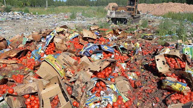 На границах России с Беларусью и Казахстаном уничтожили 3,1 тысячи тонн товаров