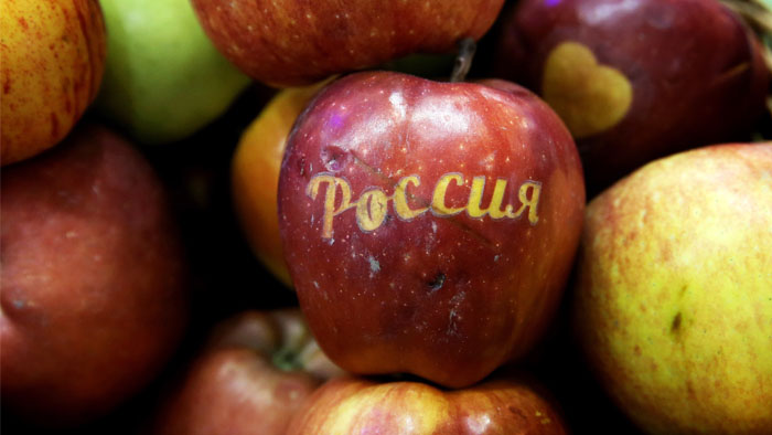 В Польше рассказали о восстановлении экспорта яблок в Россию благодаря Беларуси