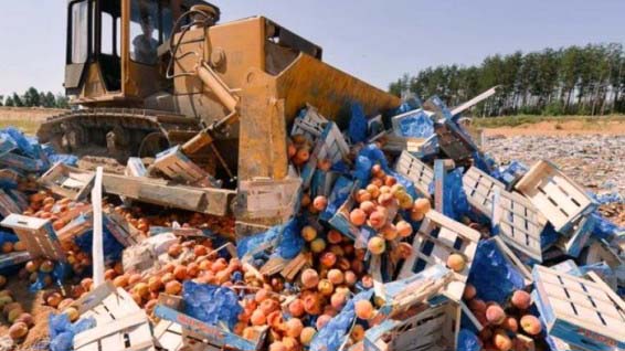 В России уничтожено 76 тонн продуктов, прибывших из Беларуси