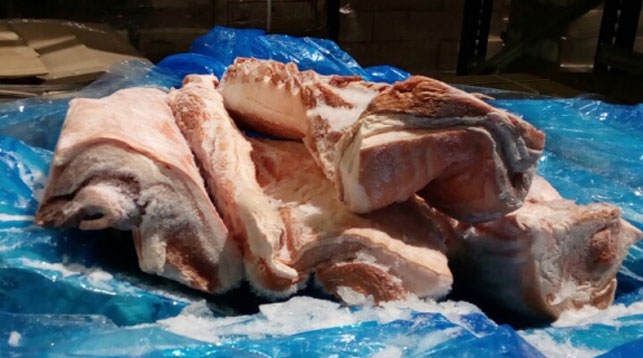 Водитель фуры пытался незаконно провезти 20 тонн свинины через границу