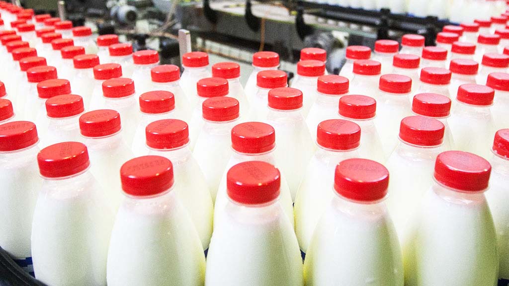 «Это наши первые большие поставки». Беларусь планирует отправить в Китай молока на 13 млн долларов