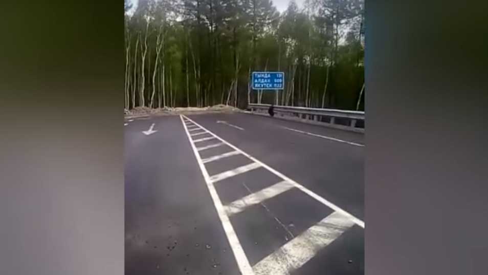 Дорога в никуда или «участок смерти». В Амурской области нашли скоростное шоссе, упирающееся в лес