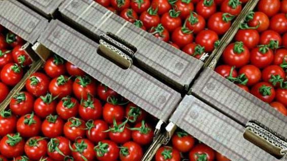 От Анталии до Херсона. Беларусь скупает помидоры у соседей и друзей