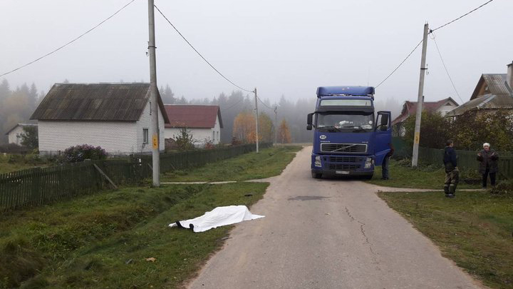 В Полоцком районе под колесами фуры погибла женщина