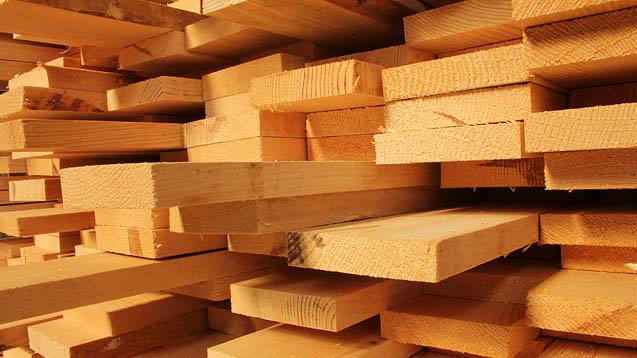 Беларусь вводит на 6 месяцев лицензирование экспорта некоторых обработанных лесоматериалов
