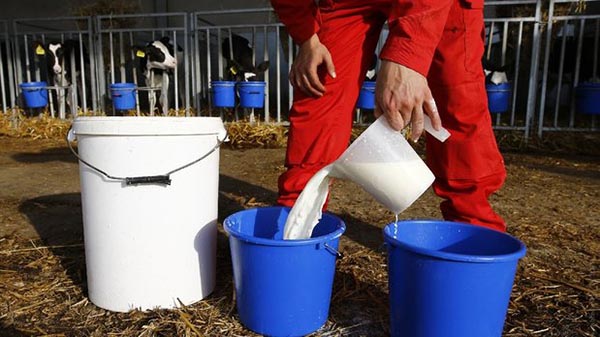 Минсельхоз России готовит программу «молочного протекционизма»: с Беларусью нужен единый трейдер