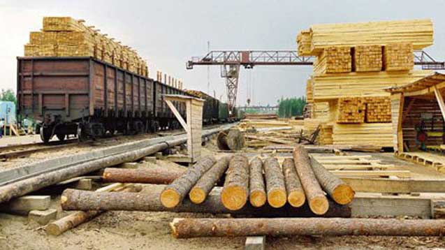 Лицензирование экспорта отдельных видов лесоматериалов за пределы ЕАЭС продлено на полгода
